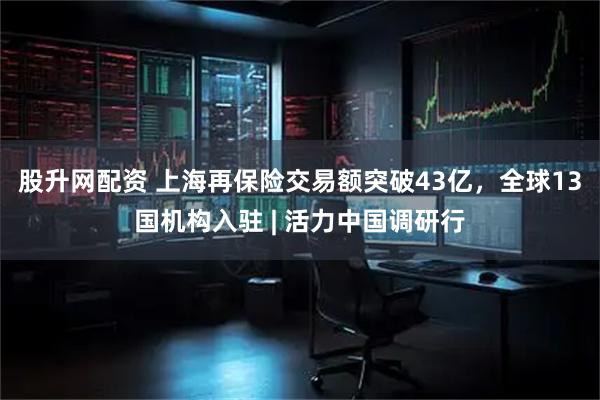 股升网配资 上海再保险交易额突破43亿，全球13国机构入驻 | 活力中国调研行
