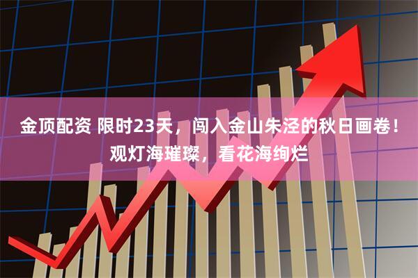 金顶配资 限时23天，闯入金山朱泾的秋日画卷！观灯海璀璨，看花海绚烂