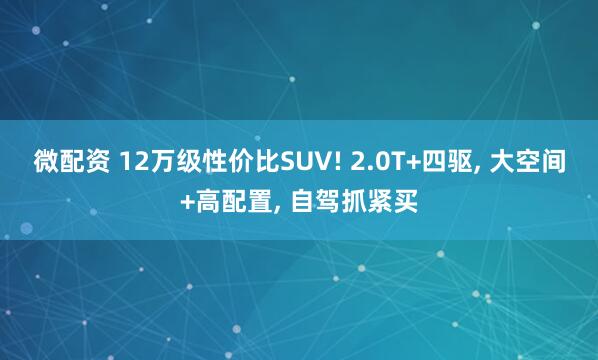 微配资 12万级性价比SUV! 2.0T+四驱, 大空间+高配置, 自驾抓紧买
