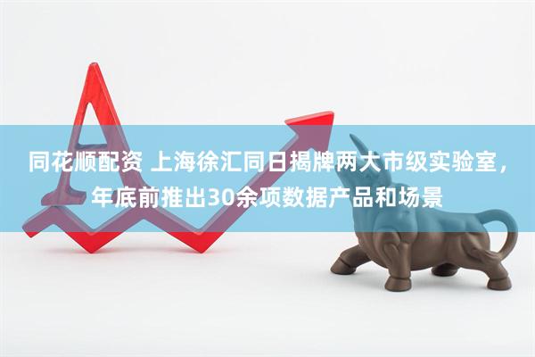 同花顺配资 上海徐汇同日揭牌两大市级实验室，年底前推出30余项数据产品和场景