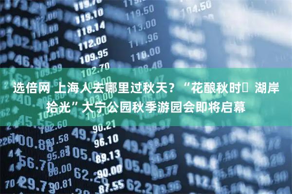 选倍网 上海人去哪里过秋天？“花酿秋时・湖岸拾光”大宁公园秋季游园会即将启幕