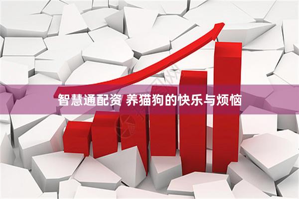 智慧通配资 养猫狗的快乐与烦恼