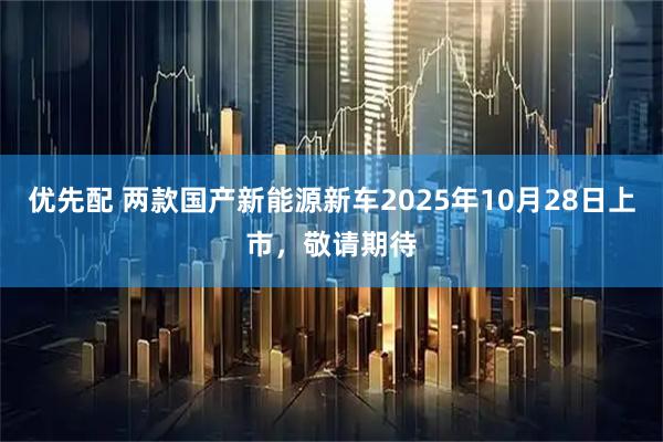 优先配 两款国产新能源新车2025年10月28日上市，敬请期待