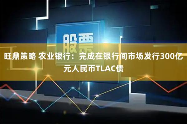 旺鼎策略 农业银行：完成在银行间市场发行300亿元人民币TLAC债