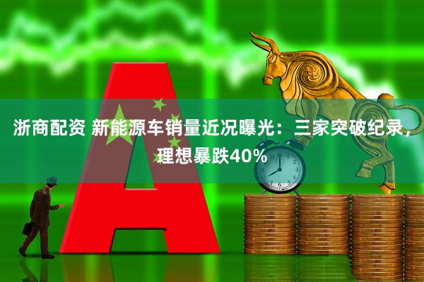 浙商配资 新能源车销量近况曝光：三家突破纪录，理想暴跌40%