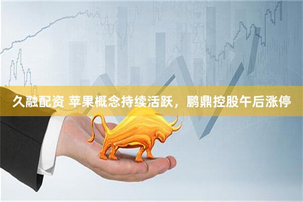 久融配资 苹果概念持续活跃，鹏鼎控股午后涨停