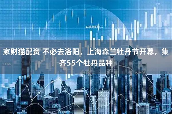 家财猫配资 不必去洛阳，上海森兰牡丹节开幕，集齐55个牡丹品种